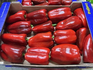 POIVRONS ROUGE CLOVIS + -  5 KGS