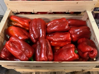 POIVRONS ROUGE CLOVIS + -  5 KGS
