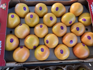 POMELOS Rose  + - 8 KGS