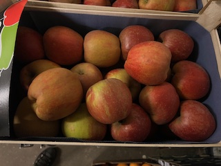 POMME BOSKOOP + - 12 KG