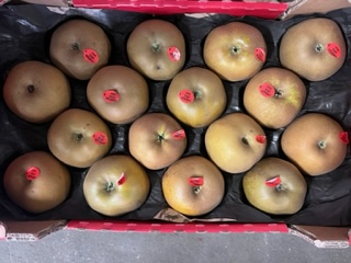 POMME CANADA GRISE +- 4KG