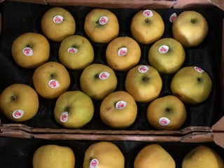 POMME CHANTECLER  + - 3.5  KG