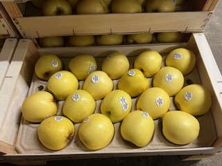 POMME GOLDEN  + - 4  KG