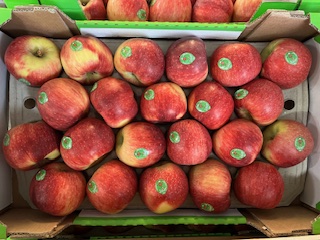 POMME BIO JULIETTE + - 4. KG