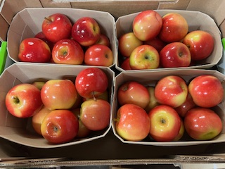 POMME ROCKIT +- 3.5 kg