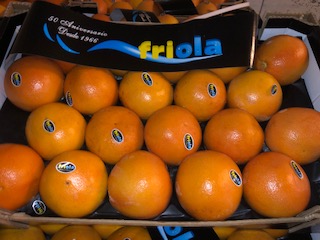 POMELOS Rose  + - 8 KGS