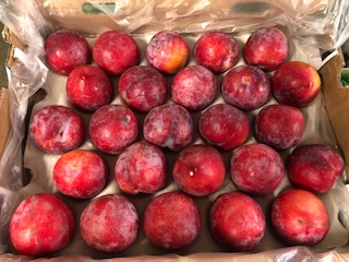 PRUNE ROUGE  + - 3 KG