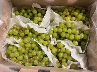 RAISIN BLANC  + - 4.5 KG