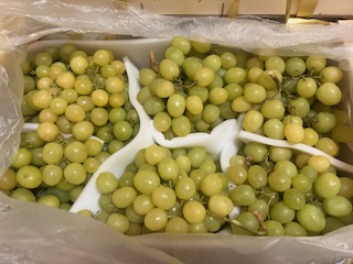 *RAISIN  ITALIA EXTRA  + - 8 kg