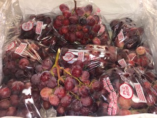 RAISIN Globe + - 8.2 KG