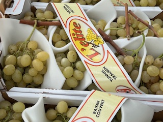 RAISIN  ITALIA  + - 6 kg