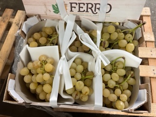 RAISIN  ITALIA  + -5.5 kg