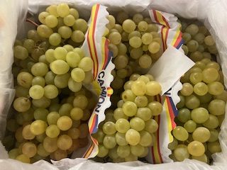 *RAISIN BLANC ALEDO  + - 5 KG