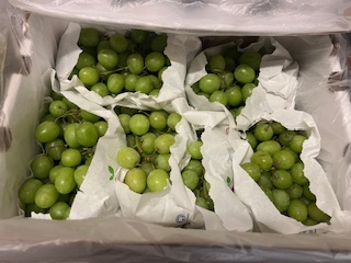 RAISIN BLANC  + - 5 KG