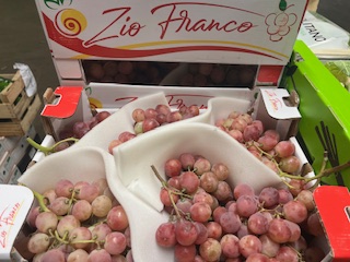 RAISIN Globe + - 6.8 KG