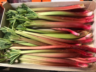 RHUBARBE  + -    6 KG