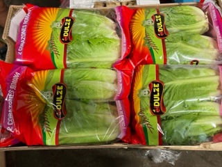 SALADE ROMAINE X8 PIECE