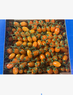 TOMATE Cerise ORANGE  Grappe  + - 5 KG