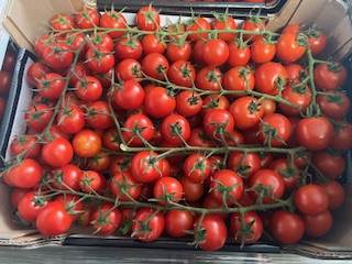 TOMATE Cerise  + - 3 kgs