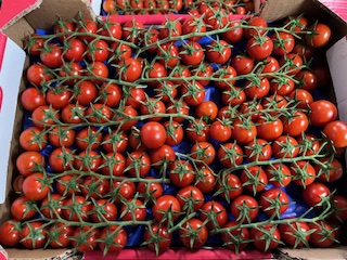 TOMATE CERISE GRAPPE  3 KG