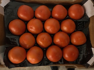 TOMATE 6KG